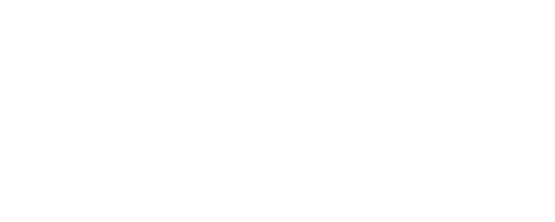 FLORIN.png